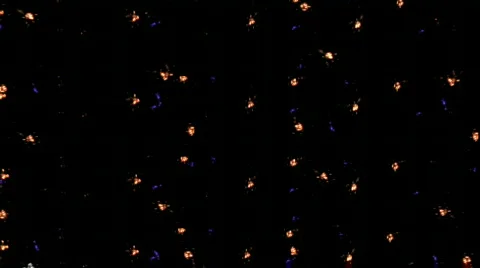 Lzr dts 8a 2 Video stock 375790