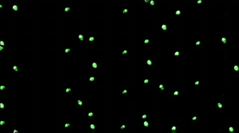 Lzr dts 8a Video stock 375785