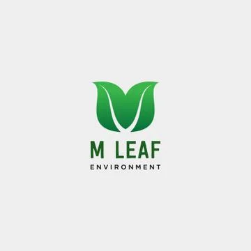M initial leaf eco nature environment simple logo template vector illustratio Stock Illustration