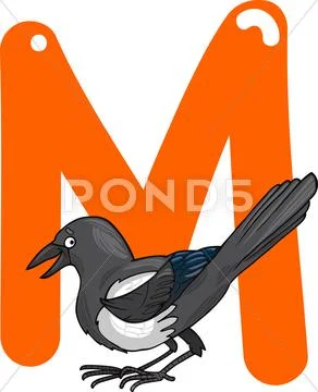 M for magpie Stock Illustration