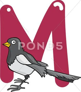 M for magpie Stock Illustration