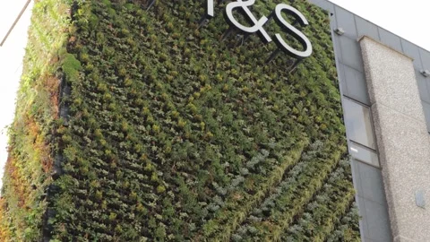 M &amp; S sign for Marks and Spencers department store shop with green wall Stock Footage 172543256