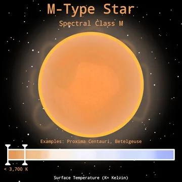 M-Type Star Infographic (Low Surface Temperature Star) Stockillustratie