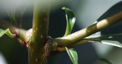 M10 스톡 동영상 130598236