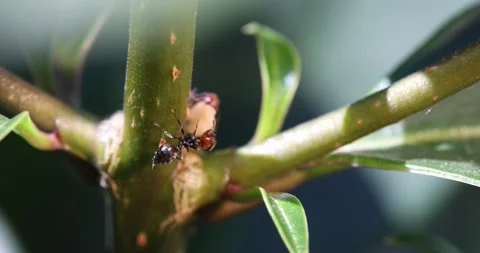 M11 스톡 동영상 130597906