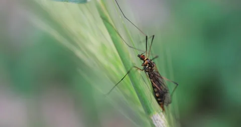 M14 스톡 동영상 130598584