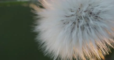 M18 스톡 동영상 130598786