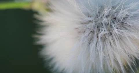 M19 스톡 동영상 130598956