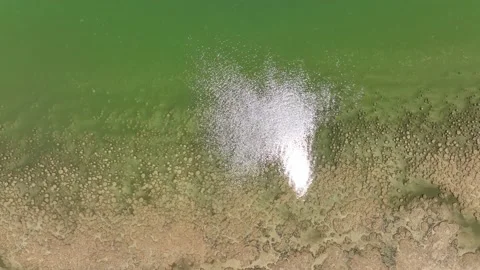 M3C Thromblites (13) Stock Footage 168435220