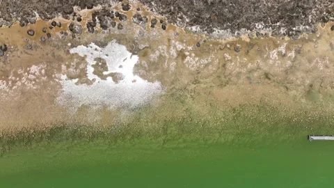 M3C Thromblites (4) Stock Footage 168459450