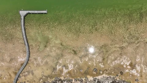 M3C Thromblites (7) Stock Footage 168464469