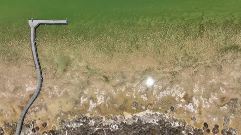 M3C Thromblites (8) Stock Footage 168423177