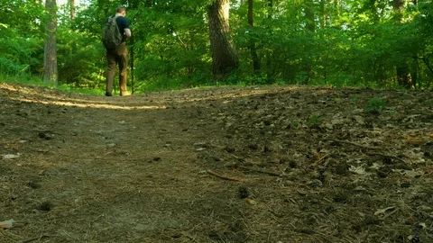 A ma is walking through the forest. He is finding the road with a navigator. Stock Footage 90593684
