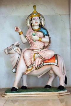 Maa Durga first aspect Maa shailaputri Copyright: xAnirudhaxCheoolkar/Dino... Stock Photos