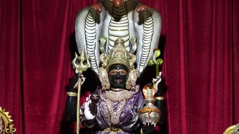 Maa Mansa Devi  Hindu Snake Goddess Stock Footage 318617654