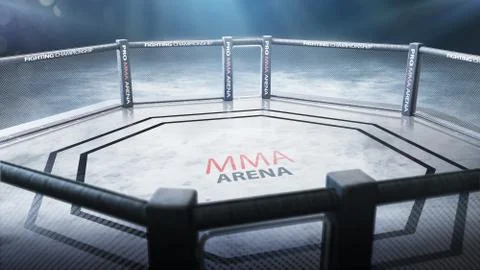 MAA octagon top view. Fighting Championship. MMA cage night. 3D rendering Stock Illustration