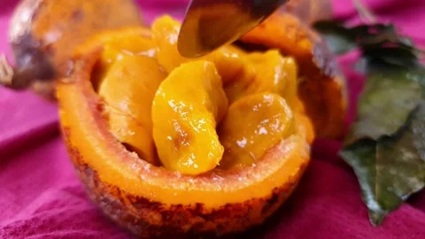 Maad-Saba senegalensis fruit Stock Footage 199429502