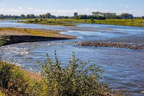 Maas river with sinuous current between sand and stones, alluvial terrain Stock Photos