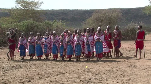 Maasai Ceremony Dance Stock Footage 141884991
