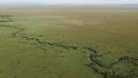 Maasai mara Video stock 151402909