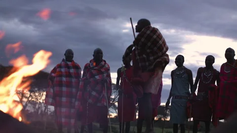 Maasai Warriors Dancing and Singing around Campfire Stock Footage 197745014