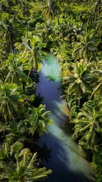 Maasin River Stock Photos