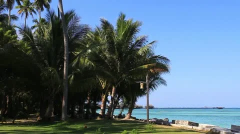 Mabul island 库存影片 11435322