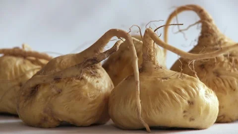 Maca from the Andes Mountains in Peru and Bolivia, South America Stock Footage 297899115
