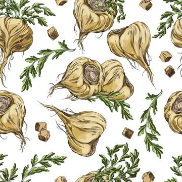 Maca root in brown peel with leaves sketch, seamless pattern vector design, hand Stock Illustration