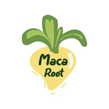 Maca root label, quality ingredient sticker Stock Illustration
