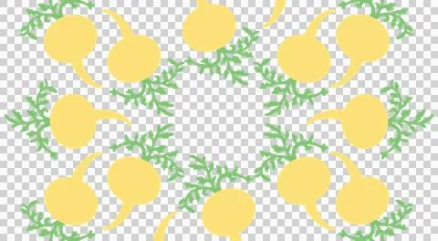 Maca Root Lepidium Meyenii  Pattern Flat Style Illustration Stock Illustration