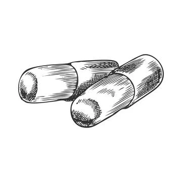 Maca root round sticks vector ink sketch, hand drawn engraved tuber superfood Stock Illustration