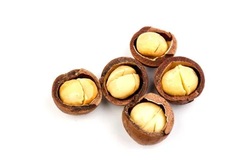 Macadam nuts with clipping path on a white isolated background Foto stock