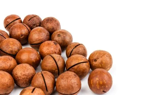 Macadam nuts with clipping path on a white isolated background Stock Photos