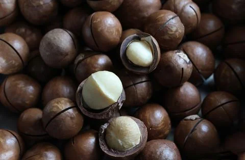 Macadamia after baking,  nutrient seeds are unwrapped. unpeeled background Stock Photos