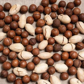 Macadamia and pecan nuts in shell scattered 写真素材