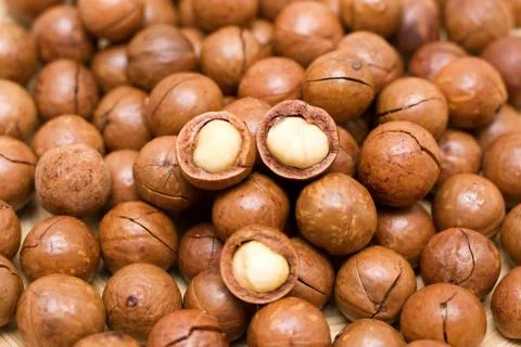 Macadamia background Stock Photos