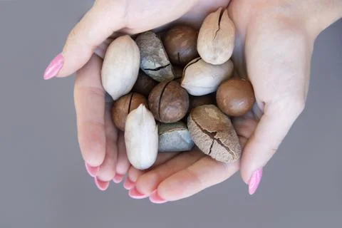 Macadamia, Brazil nuts, Bertholletia, pecan on hand. Woman hands holding roas Stock Photos