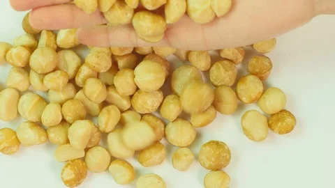 Macadamia falling from hand. 库存影片 89613554