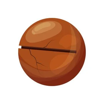 Macadamia healthy nut cartoon vector illustration Stock Illustration