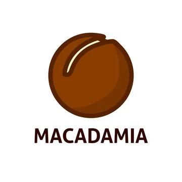 Macadamia healthy nut icon. Stock Illustration