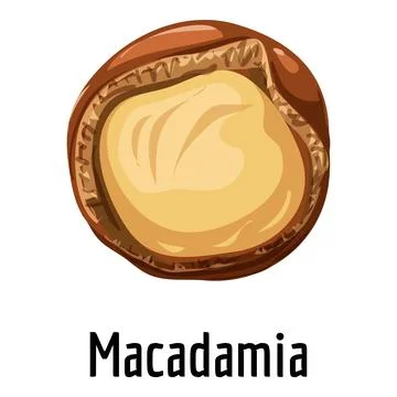Macadamia icon, cartoon style Stock Illustration