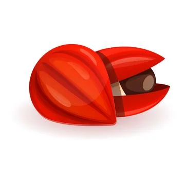 Macadamia icon, cartoon style Stock Illustration