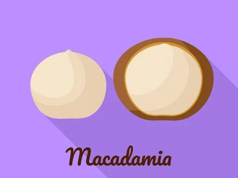 Macadamia icon, flat style Stock Illustration