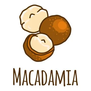 Macadamia icon, hand drawn style Stock Illustration