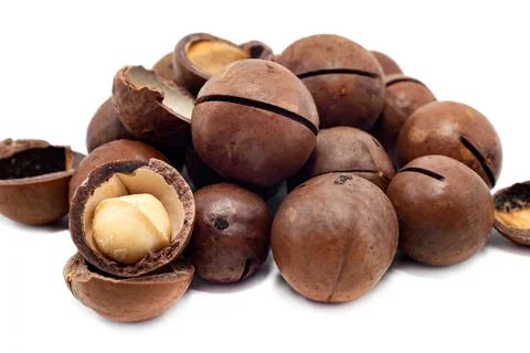 Macadamia isolate. Macadamia nuts lie in a heap on a white background Stock Photos