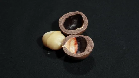Macadamia Kernel and Empty Shells Rotating on Black. Video stock 332833363