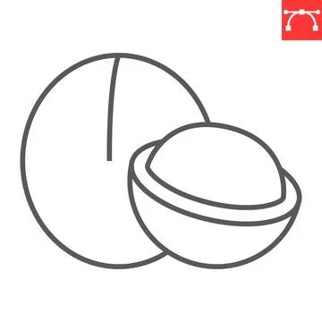 Macadamia line icon 스톡 일러스트