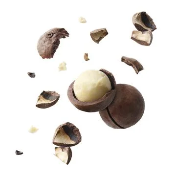 Macadamia nut and crushed shells in air on white background Foto stock