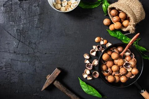 Macadamia nut on a black wood background. Stock Photos
